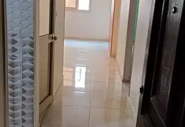 شقق للإيجار - 3 غرف - بالدور 11