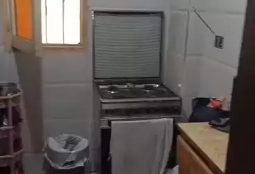 شقق للبيع - 2 غرف - بالدور 1