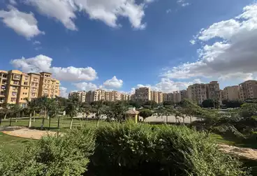 شقق للبيع - 3 غرف - بالدور 1