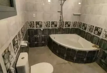 Apartments For rent - 3 rooms - floor 2