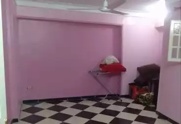 شقق للبيع - 3 غرف - بالدور 1