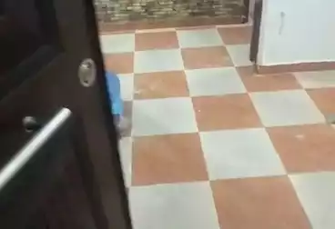 Apartments For rent - 2 rooms - floor 2