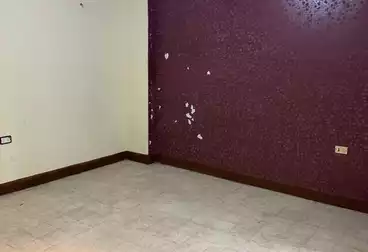 شقق للإيجار - 4 غرف - بالدور 2