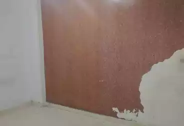 عقارات للإيجار - 2 غرف - بالدور 6