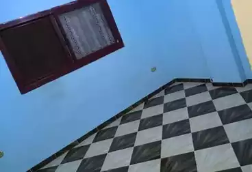 Apartments For rent - 2 rooms - floor 3