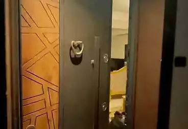 undefined undefined - 3 غرف - بالدور 7