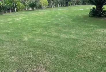 undefined undefined - 4 rooms