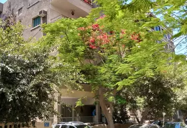 عمارات للبيع