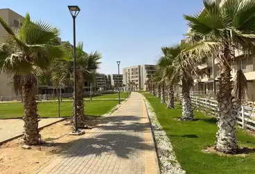 شقق للبيع - 3 غرف - بالدور 2