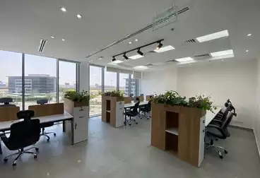 عقارات للإيجار - 2 غرف - بالدور 2