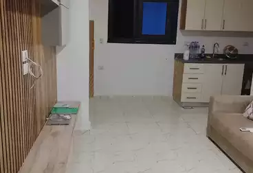 Serviced Apartments For rent - 1 rooms - floor 2