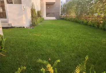 شقق للإيجار - 2 غرف - بالدور 1