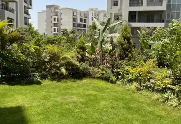 شقق للبيع - 2 غرف - بالدور 1