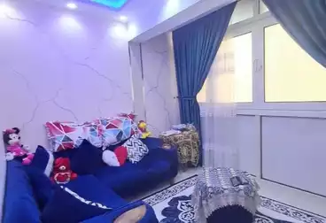 عقارات للإيجار - 2 غرف - بالدور 6