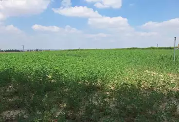 أرض زراعية للبيع
