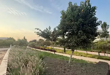 Properties For sale - 6 rooms