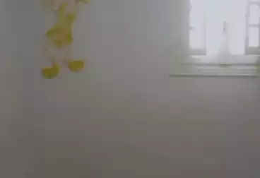 undefined undefined - 2 rooms - floor 7