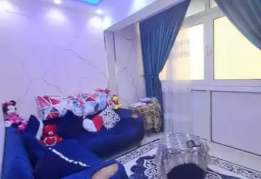 عقارات للإيجار - 2 غرف - بالدور 6