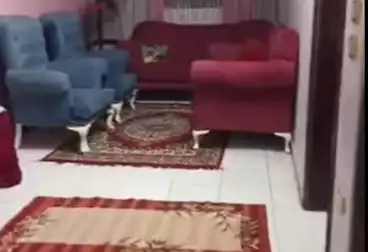 عقارات للبيع - 2 غرف - بالدور 3