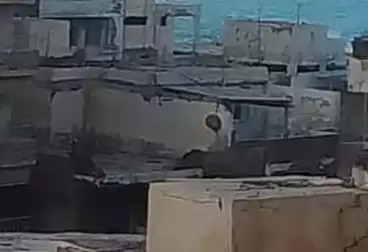 عقارات للبيع - 2 غرف - بالدور 10