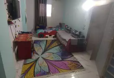 شقق للبيع - 3 غرف - بالدور 11