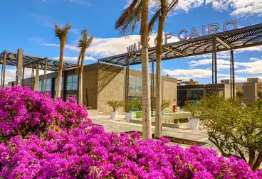 عقارات للإيجار - بالدور 1