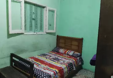 Shared Room For rent - floor 1