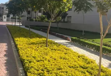 عقارات للبيع - 4 غرف - بالدور 1