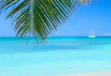 شاليهات للبيع - 2 غرف - بالدور 1