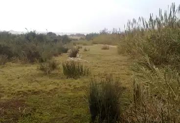 أراضي للبيع