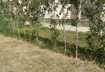 عقارات للبيع - 2 غرف - بالدور 1