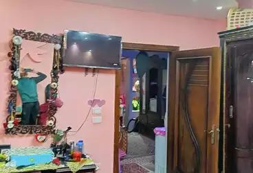 شقق للبيع - 2 غرف - بالدور 0