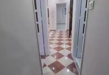 شقق للبيع - 2 غرف - بالدور 2