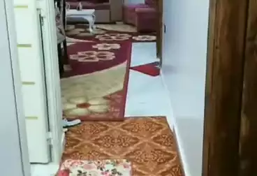 Apartments For sale - 3 rooms - floor 6