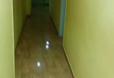 شقق للإيجار - 4 غرف - بالدور 6