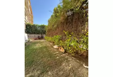 شقق للإيجار - 3 غرف - بالدور 1