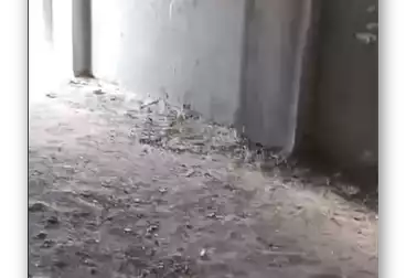 Duplex For sale - 4 rooms - floor 1