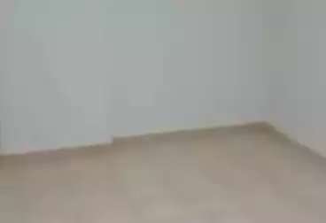 Apartments For rent - 2 rooms - floor 4