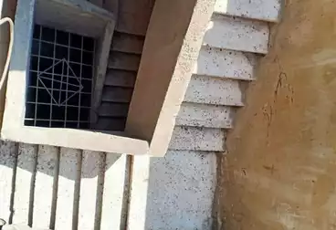 Building For sale - 3 rooms