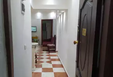 شقق مفروشة للإيجار - 2 غرف - بالدور 10