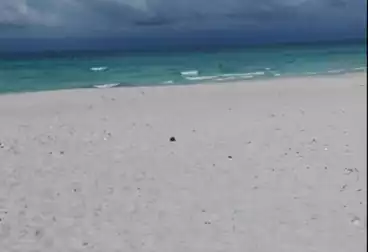 Properties For sale - 2 rooms - floor 1