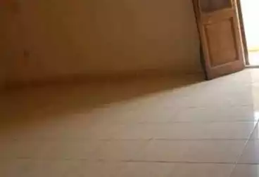 Apartments For rent - 2 rooms - floor 6