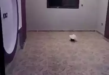 شقق للإيجار - 3 غرف - بالدور 7