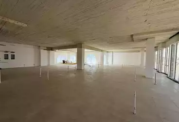 عقارات للإيجار - 3 غرف - بالدور 1