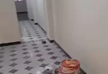 Apartments For rent - 3 rooms - floor 2