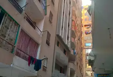 شقق للبيع - 3 غرف - بالدور 5