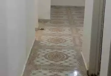 شقق للبيع - 3 غرف - بالدور 0