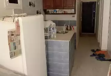 شقق للبيع - 2 غرف - بالدور 1