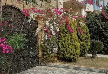 Studio For rent - 1 rooms - floor 3