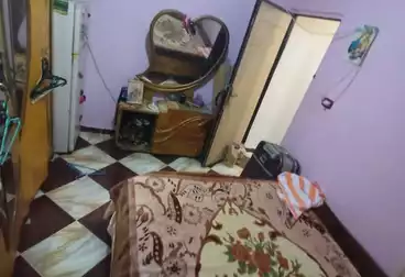 شقق للبيع - 2 غرف - بالدور 2